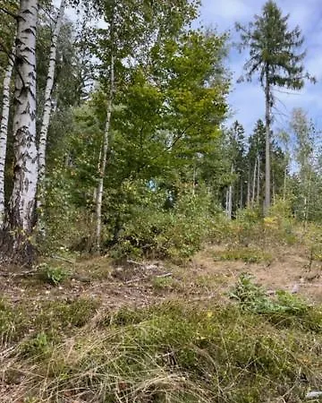 Rodinne Apartmany U Stastnych Cerny Dul Exterior photo