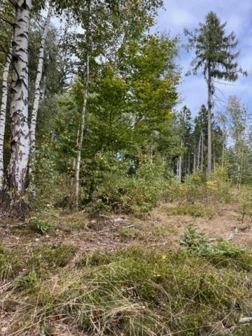 Rodinne U Stastnych