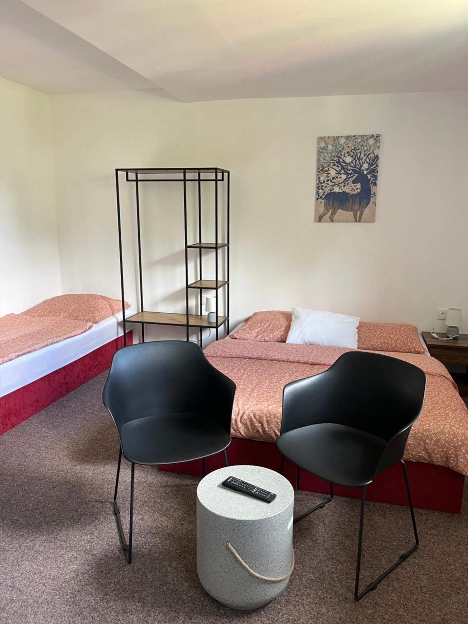U Stastnych Apartment *